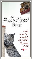 PurrFect Post